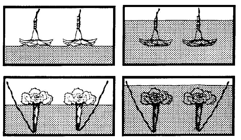 Series of diagrams showing flowers placed in a container and covered with drying material at different stages.