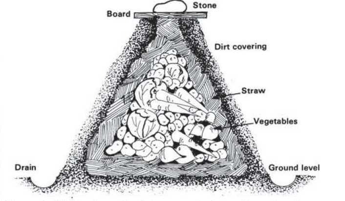 Diagram of a cone-shaped outdoor storage pit layered with straw and vegetables, covered with soil and a board, with drain shown.