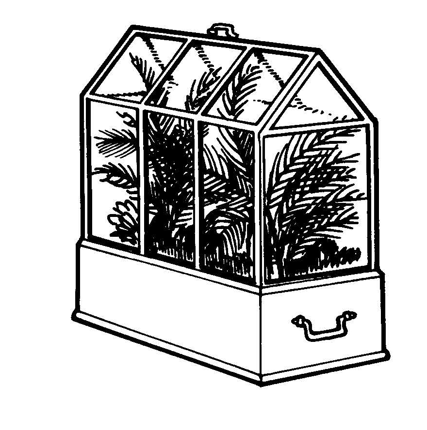 Illustration of a Wardian case, a glass enclosure used to transport and grow plants in a controlled environment.