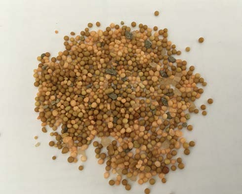 Close-up of polymer-coated slow-release fertilizer pellets in varying shades of tan and brown.