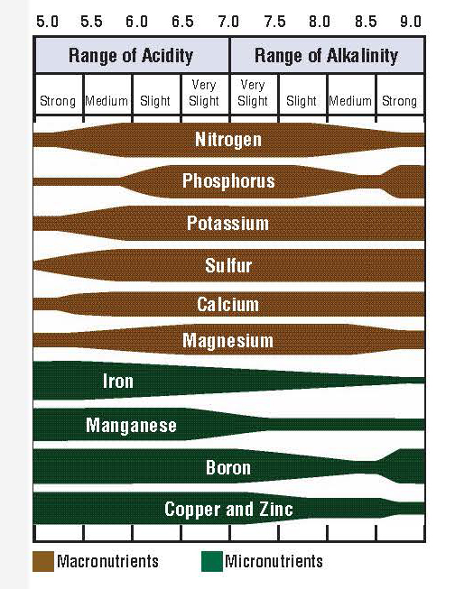 Chart showing how soil pH affects the availability of macro- and micronutrients, including nitrogen, phosphorus, potassium, iron, and zinc.