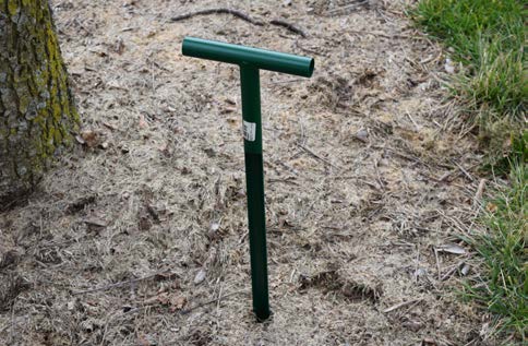 Soil probe inserted into bare soil near a tree for collecting soil samples.
