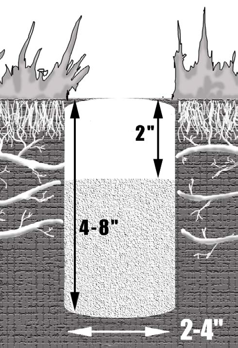 Cross-sectional diagram of a vertical mulching hole showing dimensions of 4–8 inches deep and 2–4 inches wide.