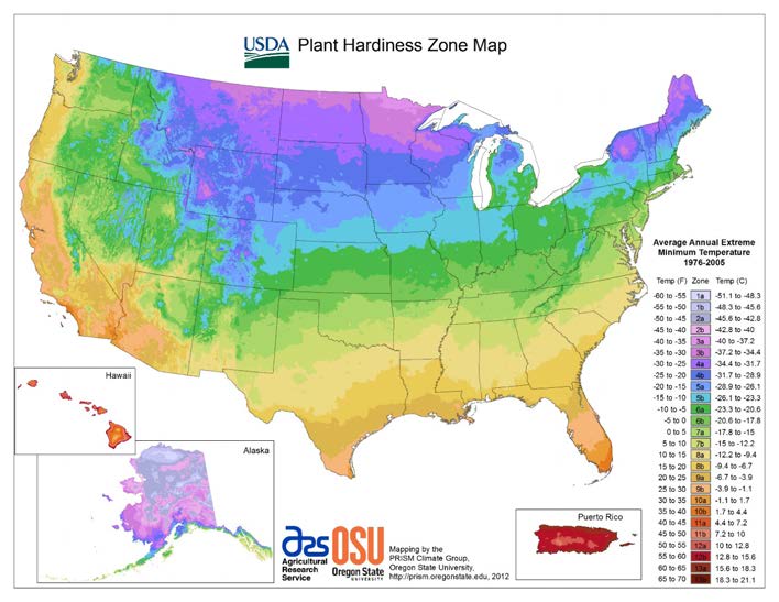 USDA zone map of plant hardiness for the US