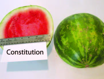 Cut and whole ‘Constitution’ watermelon. The cut fruit shows red flesh with a pale rind; a ruler is placed across the cut surface for size reference.