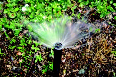 Lawn sprinkler spraying water over soil and surrounding plants