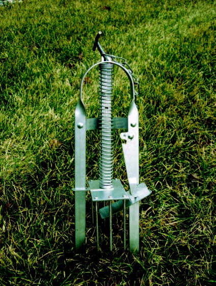 Metal mole trap set on a lawn surface for controlling burrowing moles