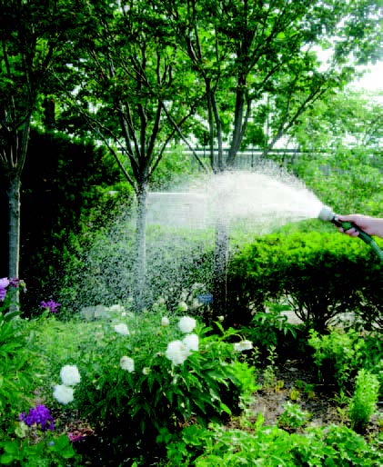 Person spraying water over garden plants with a handheld hose nozzle
