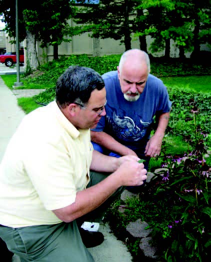 Two individuals kneeling and inspecting plants in a landscaped garden bed