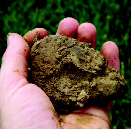 Hand holding compact, clumped clay soil