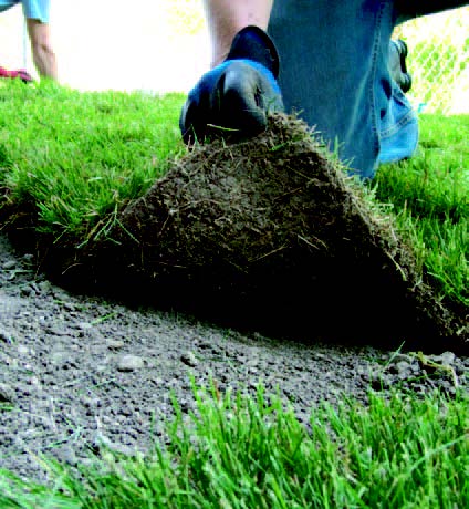 Gloved hand lifting a section of sod to prepare soil beneath a lawn