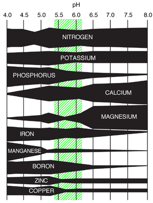 Diagram showing nutrient availability across a substrate pH range of 4.0 to 8.0. Most nutrients are most available between pH 5.4 and 6.2, highlighted by a shaded region. Iron, manganese, boron, and zinc availability decreases as pH increases, while calcium and magnesium availability increases.