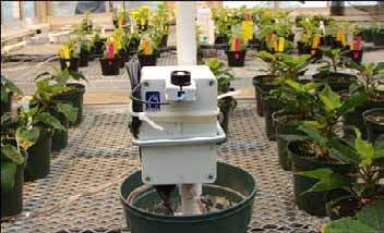 Environmental monitoring station mounted on a greenhouse bench among rows of potted plants. The instrument is positioned near crops to collect environmental data, including light measurements used to calculate daily light integral (DLI).
