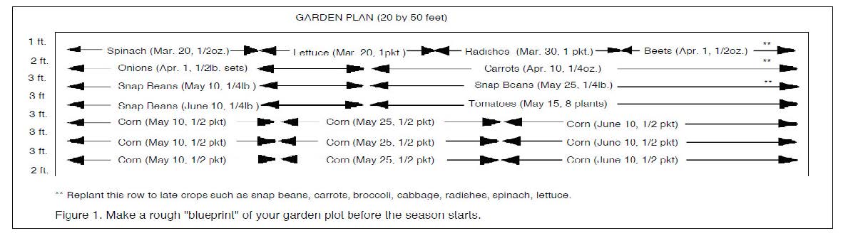 Diagram of a 20-by-50-foot vegetable garden layout showing crop rows and planting dates for vegetables such as lettuce, beans, corn, and tomatoes