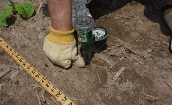 Person inserting a tensiometer into the soil beside a measuring tape to monitor soil water tension.