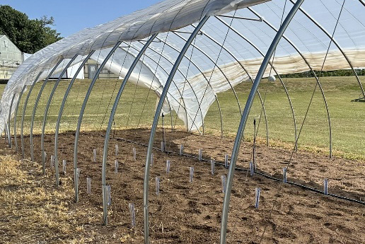 Multiple small rain gauges placed throughout a tunnel to measure and compare irrigation water distribution.