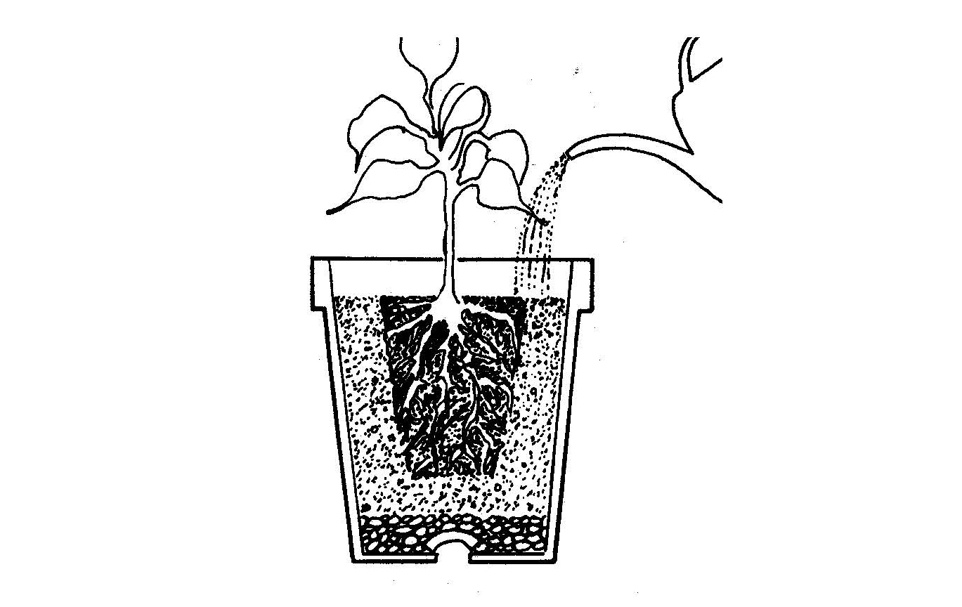 Diagram of a potted plant being watered from above, showing water flowing into soil and draining through a bottom layer.
