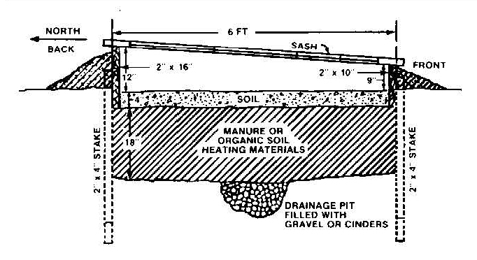 Cross-section diagram of a manure-heated hotbed showing layered soil, heating materials, drainage, and sloped sash design.