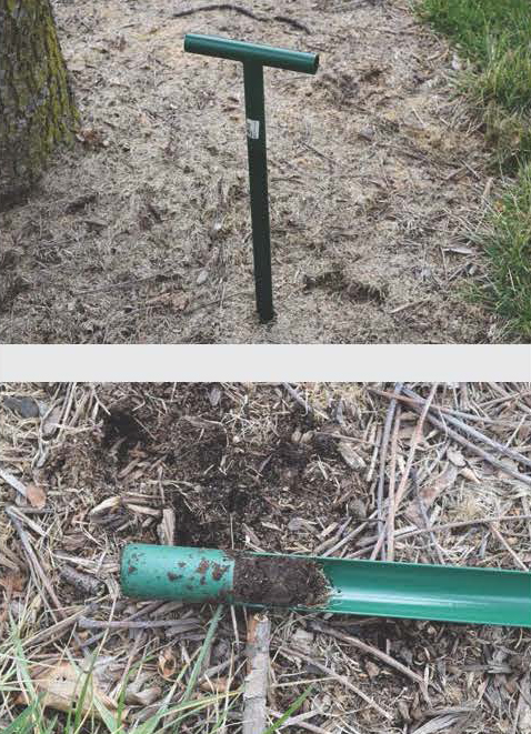 Green-handled soil probe inserted into bare soil near grass, demonstrating how to collect a soil sample.
