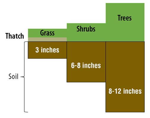 Diagram showing recommended soil sampling depths: 3 inches for grass, 6–8 inches for shrubs, and 8–12 inches for trees, with thatch and soil layers labeled.