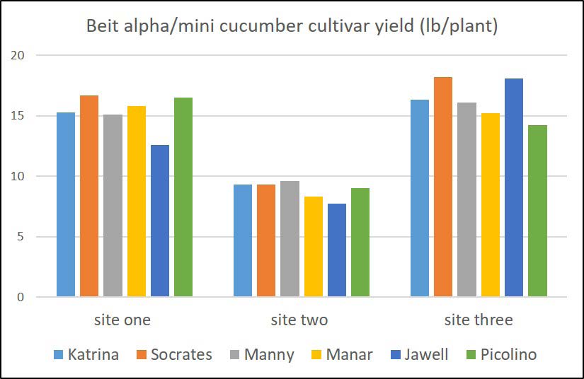Bar chart comparing yields of six Beit alpha/mini cucumber cultivars across three sites, with highest yields generally at site three.