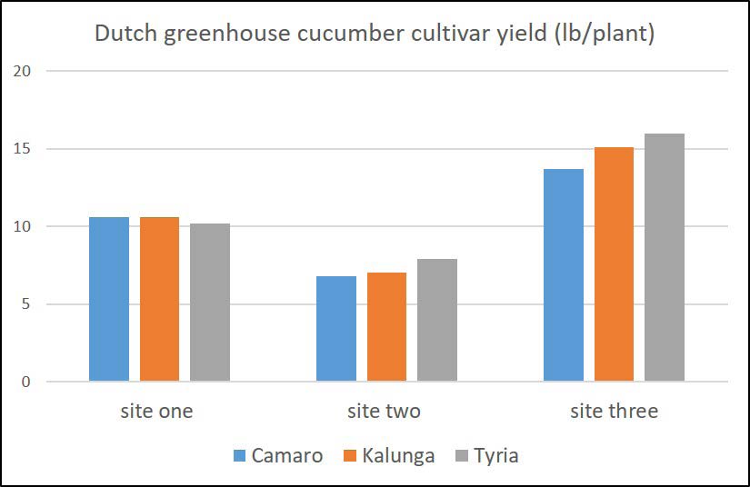Bar chart showing yields of three Dutch greenhouse cucumber cultivars at three sites, with highest production at site three.