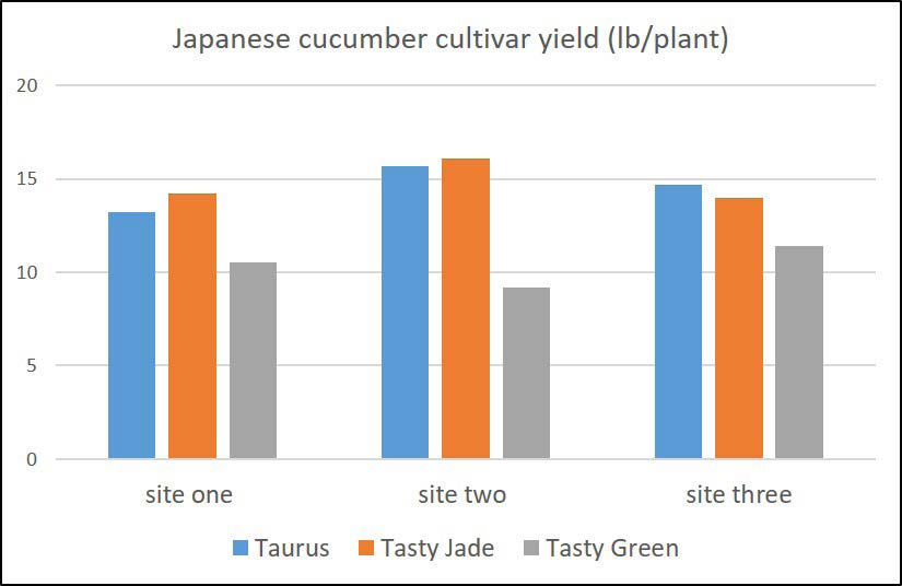 Bar chart comparing yields of three Japanese cucumber cultivars across three sites, with site two and site three producing higher yields.