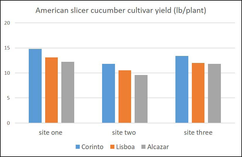 Bar chart showing yields of three American slicer cucumber cultivars across three sites, with highest yields at site one and site three.