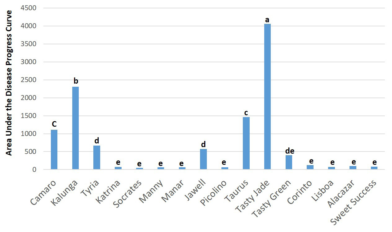 Bar chart showing powdery mildew severity (AUDPC) across cucumber cultivars, with ‘Tasty Jade’ highest and several cultivars showing much lower disease levels, indicating significant differences in susceptibility.