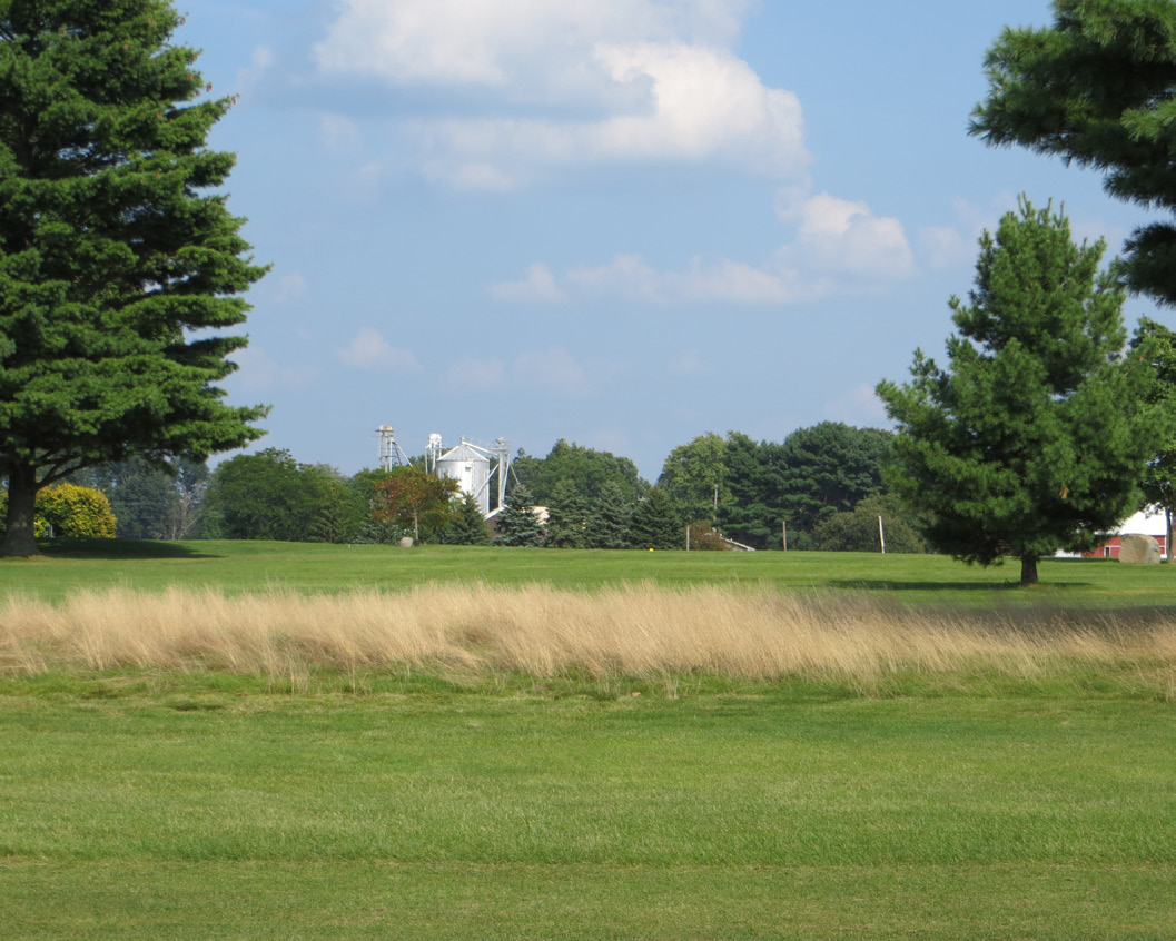 Fine fescue rough area with tall tan grasses separating mown turf from trees and distant farm structures.