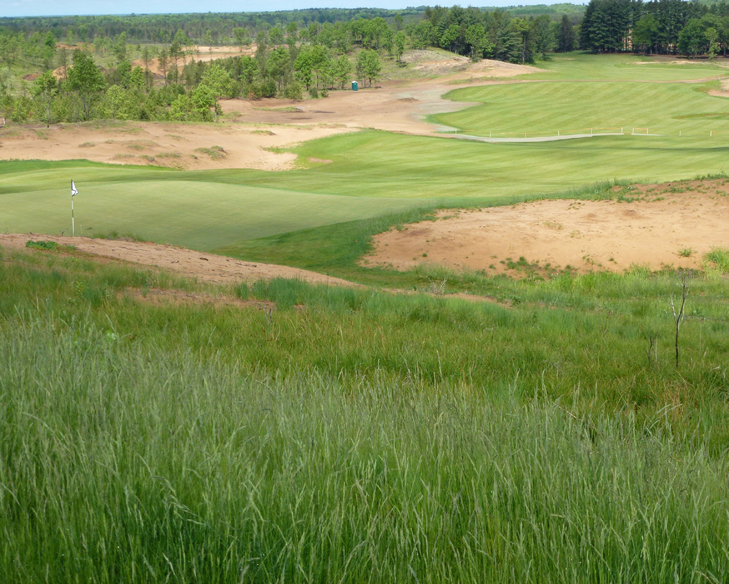 Golf course green surrounded by sandy areas and naturalized fine fescue rough on rolling terrain.