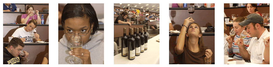 photo collage of students engaging in a wine tasting.