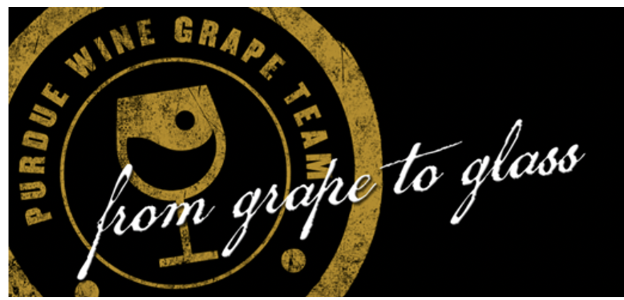 Grape to Glass Logo