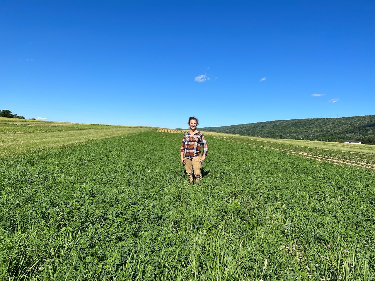Researcher standing in a field of cover crops at an agricultural research site.
