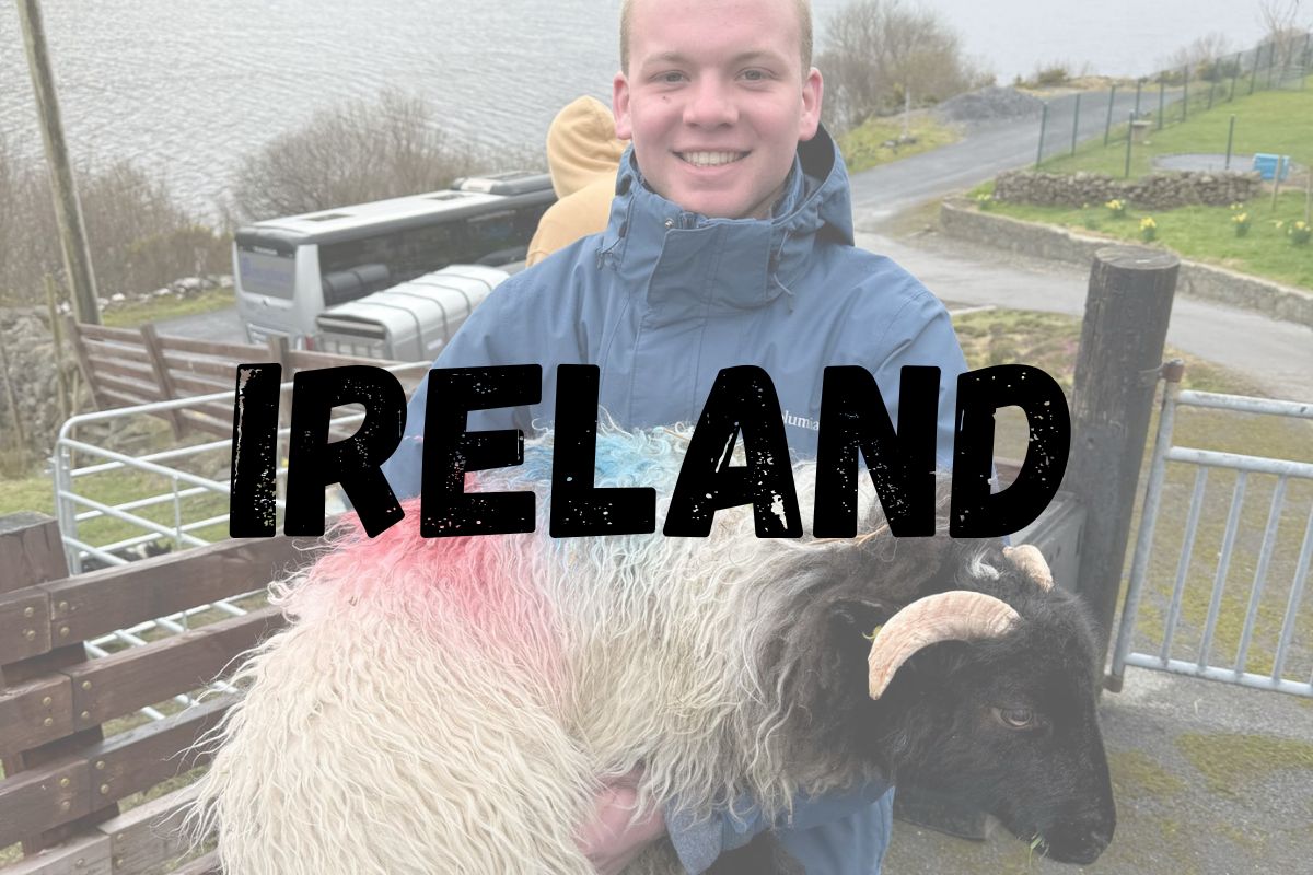 Student holding sheep in Ireland
