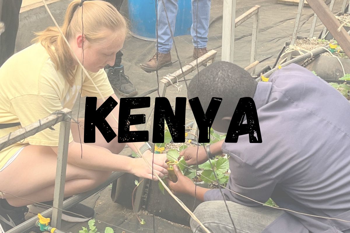 A student working in a greenhouse in Kenya