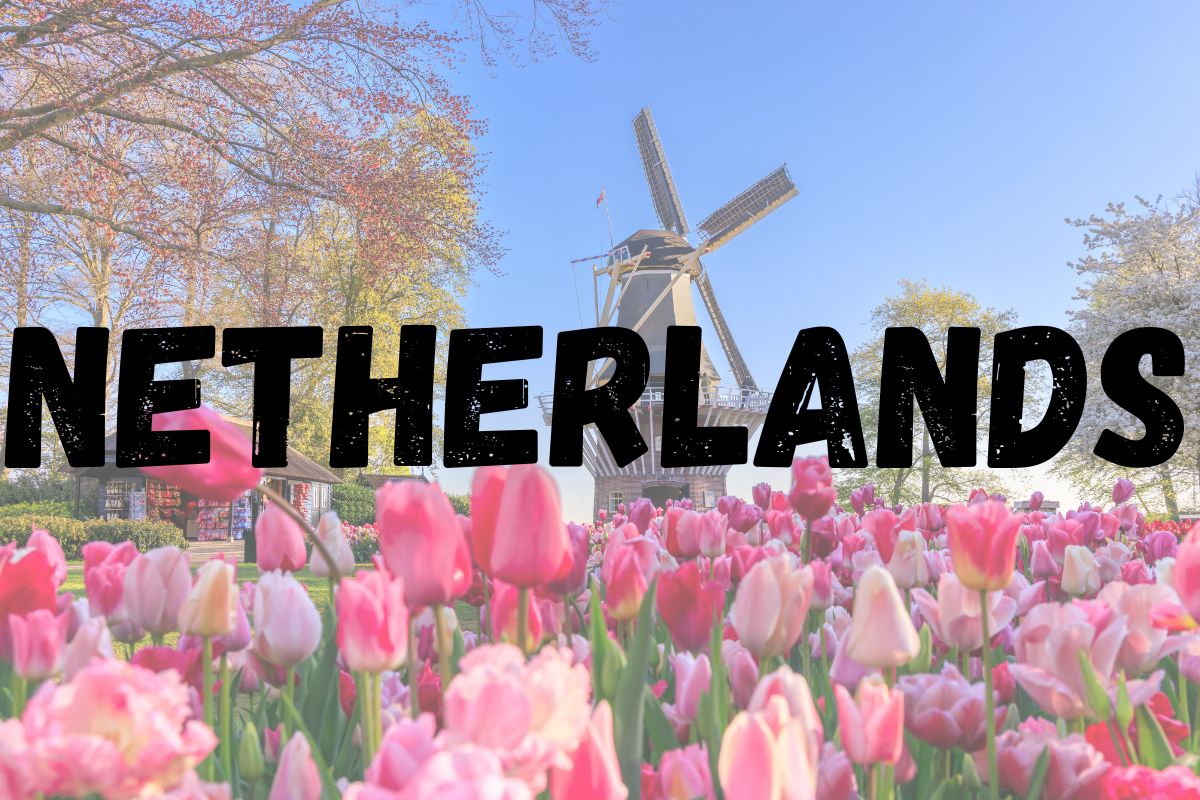 Flowers and a windmill in The Netherlands