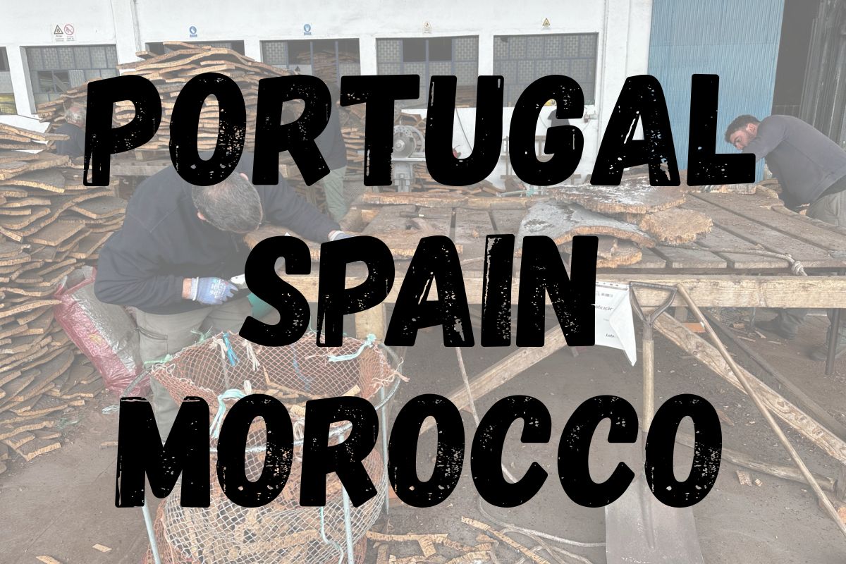 Working with cork in Portugal