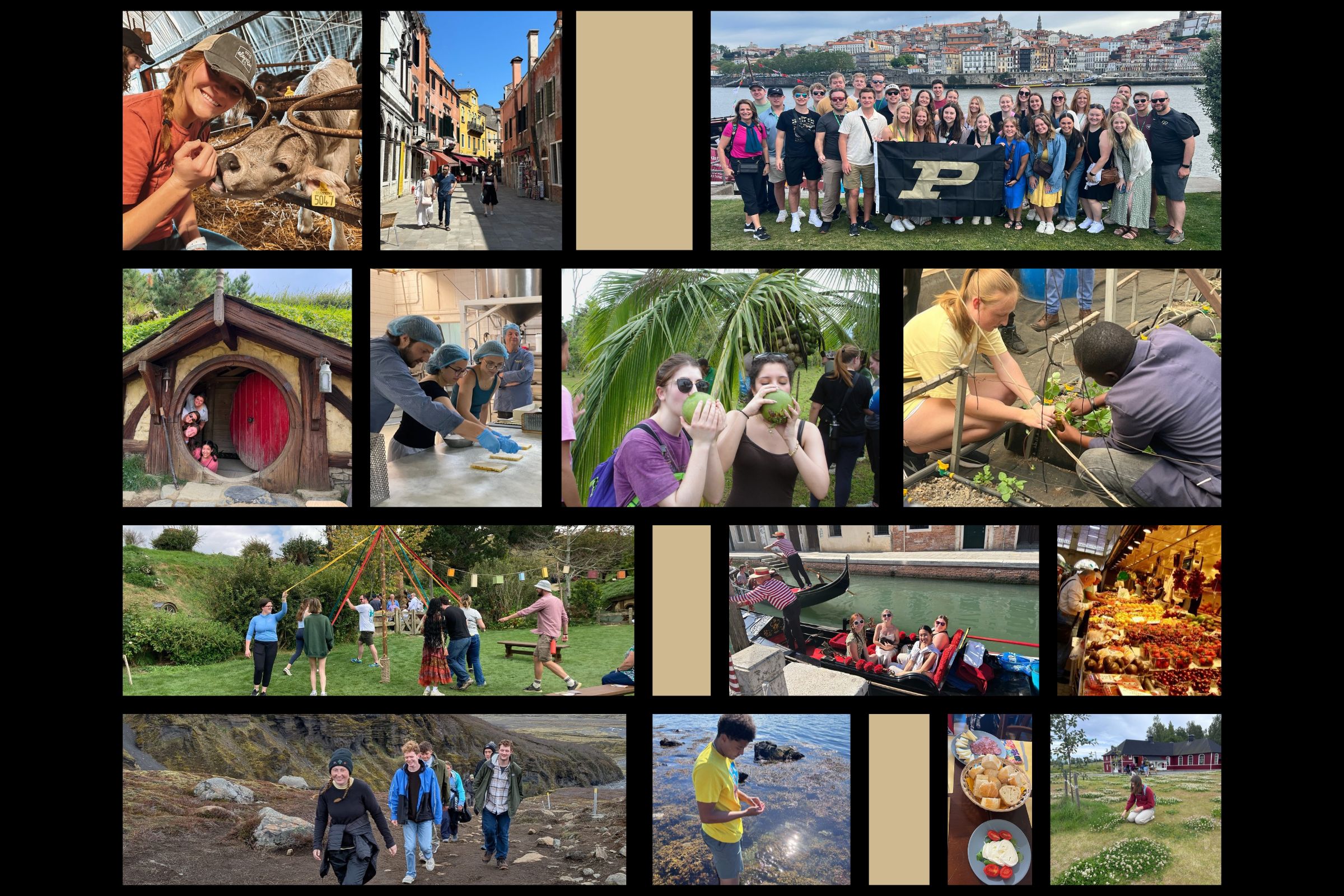 Collage of Students on study abroad programs