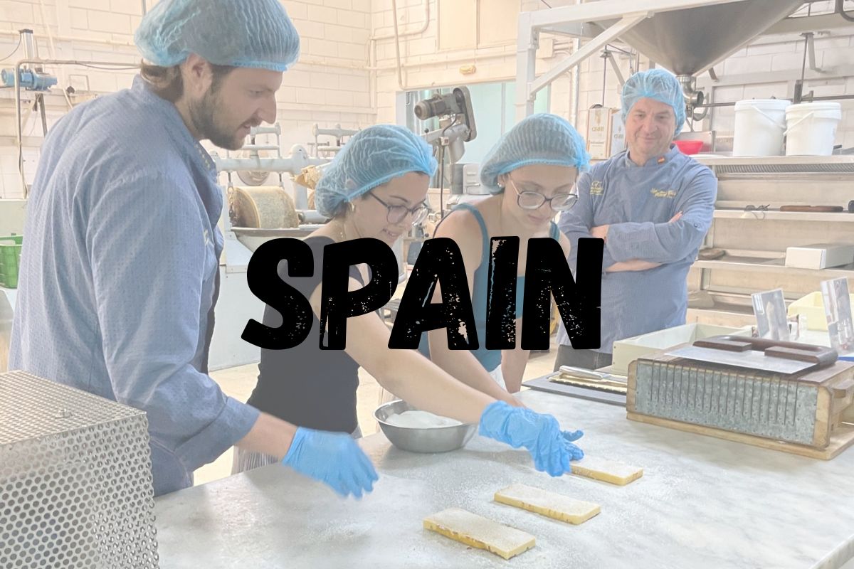 Students working with cheese in Spain