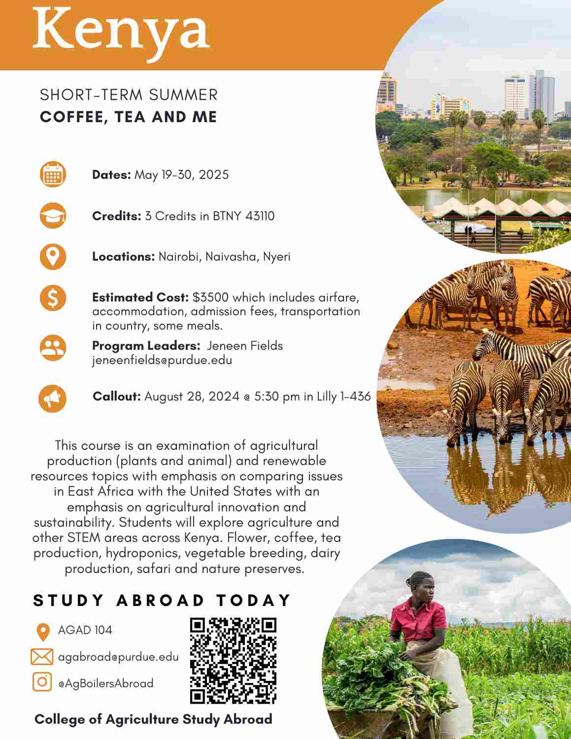 kenya-summer-25-flyer.jpg