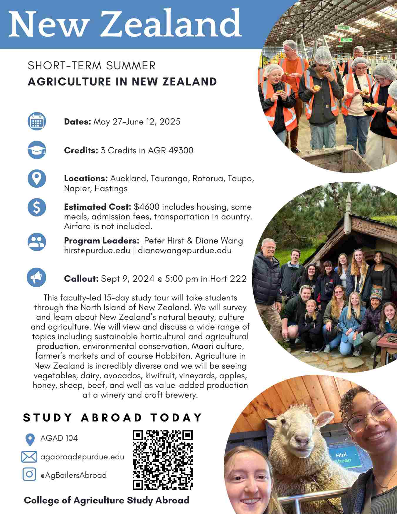 new-zealand-summer-25-flyer-3.jpg