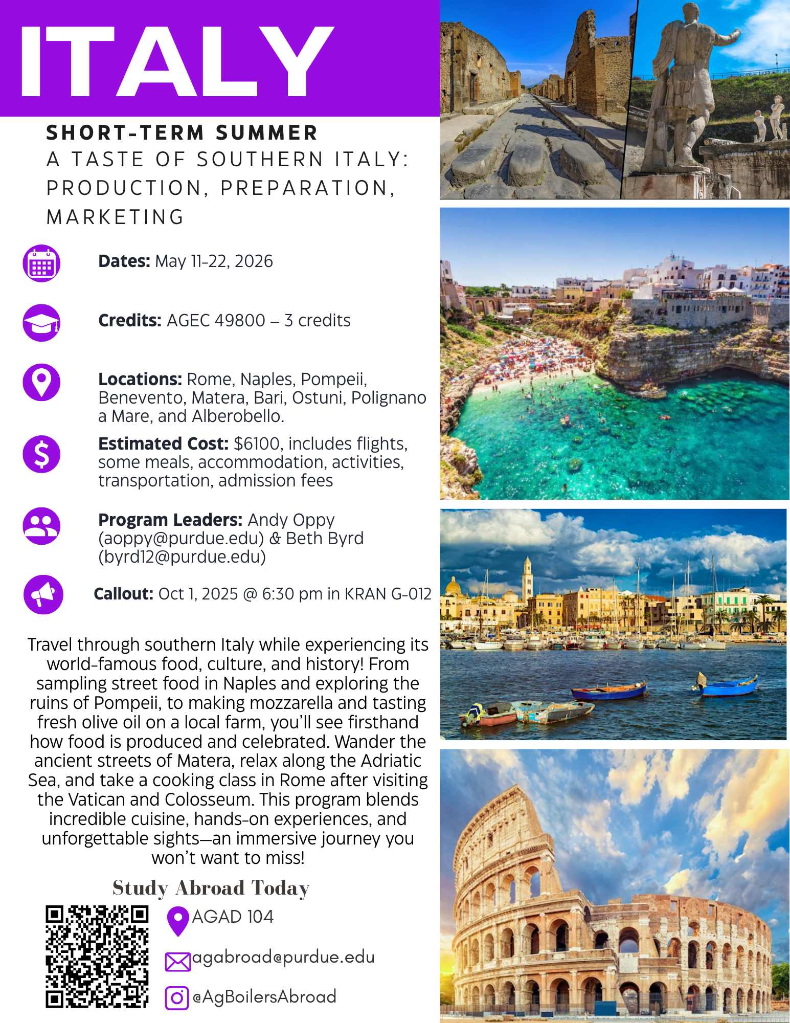 Italy Flyer