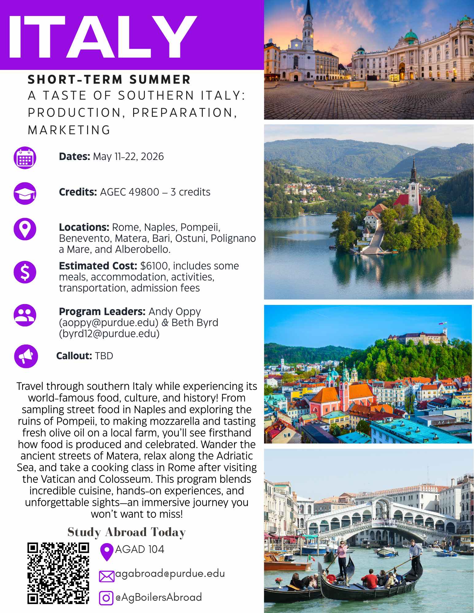 Italy Flyer