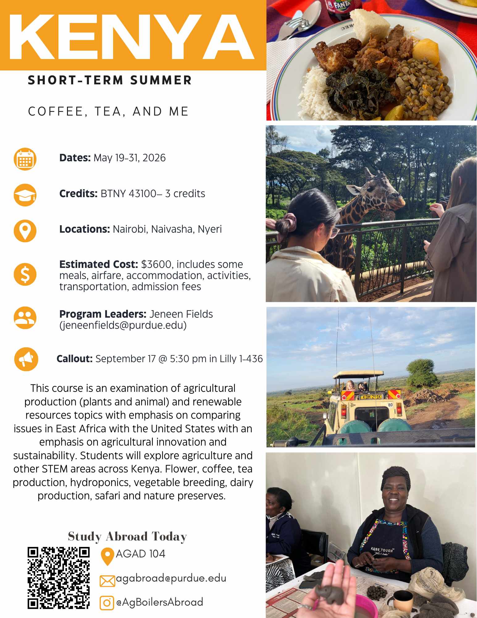 Kenya Flyer