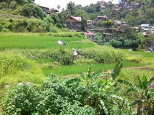 Philippine landscape