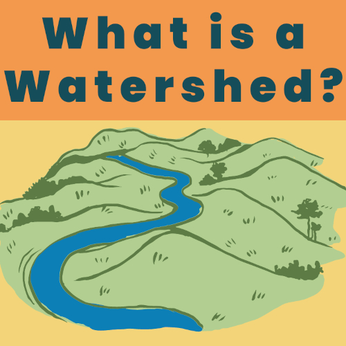 "what is a watershed?" example banner