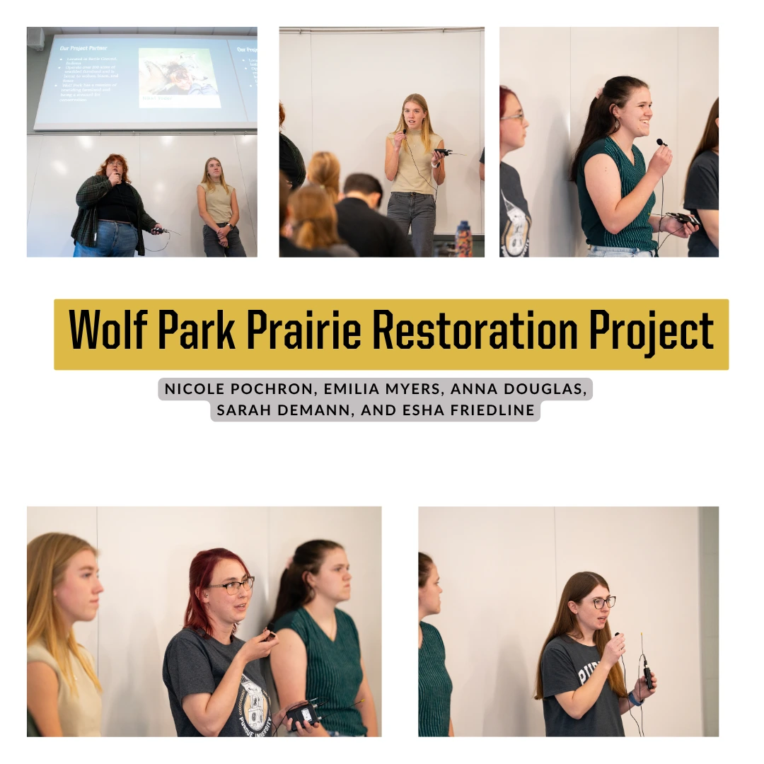 Wolf Park Prairie Restoration
