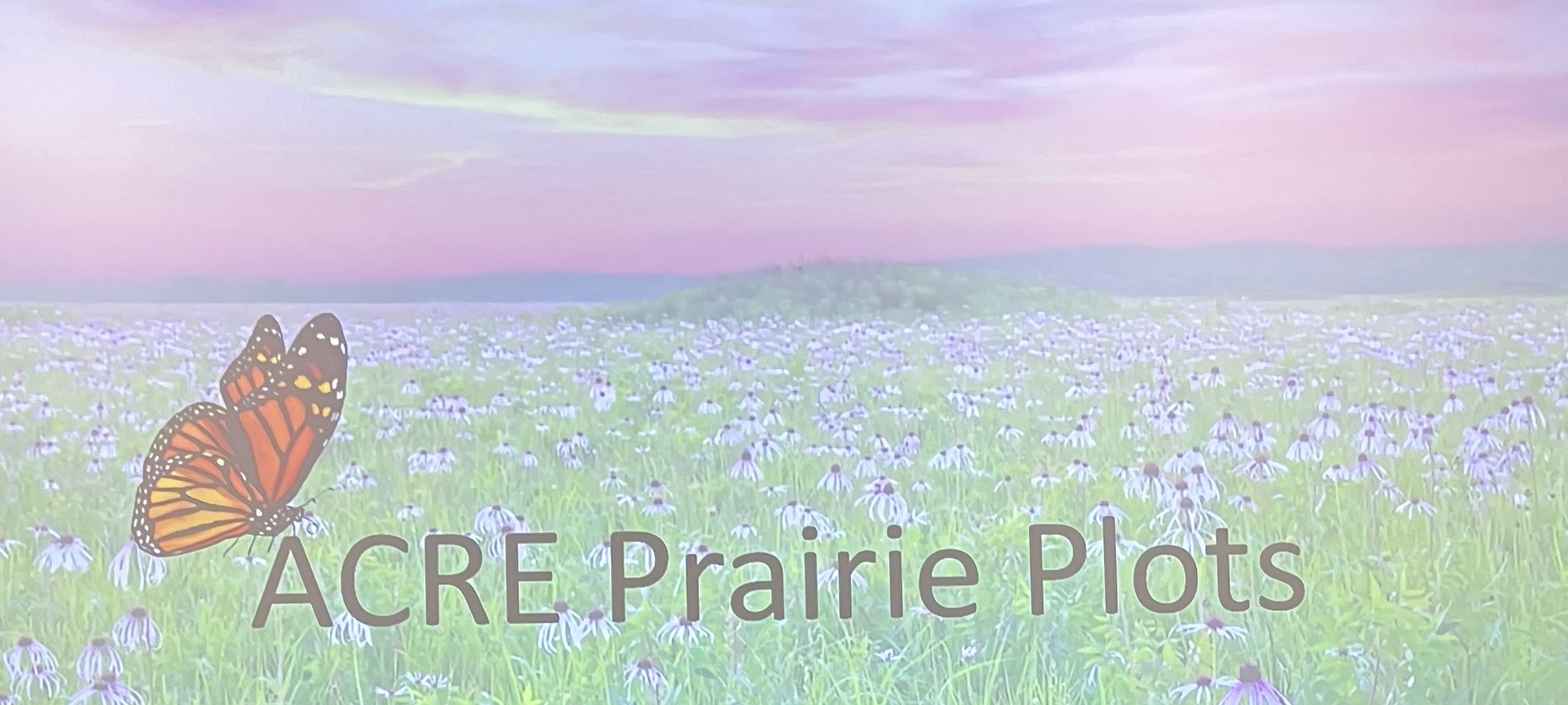 acre-prairie-plots-logo.jpg