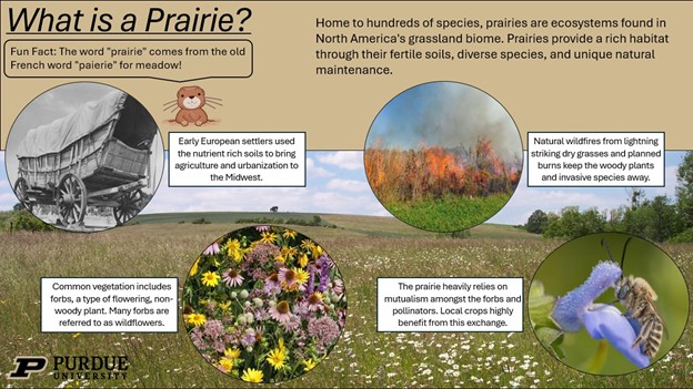 ACRE Prairie